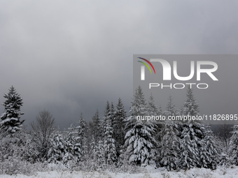 Foggy picturesque views of Beskid Zywieckiare seen as snow covers trees and the path. (