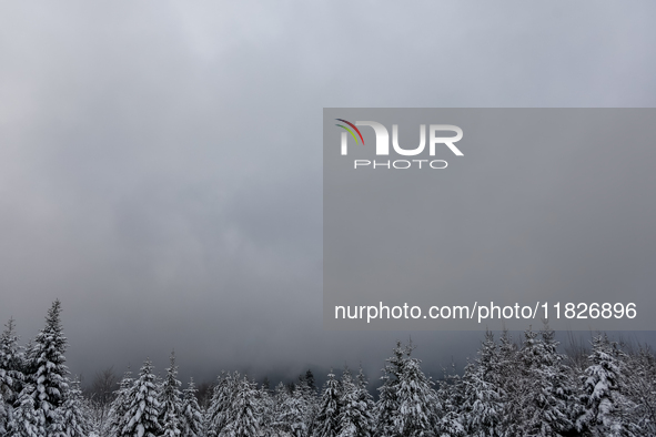 Foggy picturesque views of Beskid Zywieckiare seen as snow covers trees and the path. 