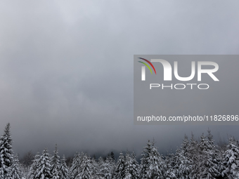 Foggy picturesque views of Beskid Zywieckiare seen as snow covers trees and the path. (