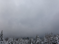 Foggy picturesque views of Beskid Zywieckiare seen as snow covers trees and the path. (