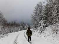 A tourist walks on a hiking trail amid picturesque views of Beskid Zywiecki as snow covers trees and the path. (