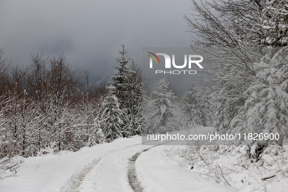 A hiking trail is seen amid foggy picturesque views of Beskid Zywiecki as snow covers trees and the path. 