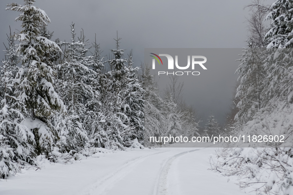 A hiking trail is seen amid foggy picturesque views of Beskid Zywiecki as snow covers trees and the path. 