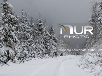 A hiking trail is seen amid foggy picturesque views of Beskid Zywiecki as snow covers trees and the path. (