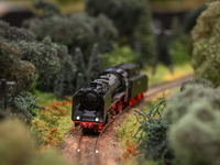 KRAKOW, POLAND - DECEMBER 01: 
A view of the steam locomotive Pm2-14 PKP as thousands of train enthusiasts and hobbyists gather at the Nowa...