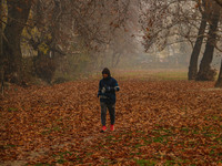 A man jogs at a park in Srinagar, Jammu and Kashmir, on December 02, 2024. Weather experts warn of heavy snowfall and a harsh winter in Jamm...