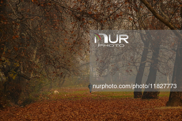 A man jogs at a park in Srinagar, Jammu and Kashmir, on December 02, 2024. Weather experts warn of heavy snowfall and a harsh winter in Jamm...