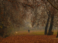 A man jogs at a park in Srinagar, Jammu and Kashmir, on December 02, 2024. Weather experts warn of heavy snowfall and a harsh winter in Jamm...