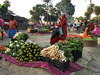 A general view of a temporary open-air vegetable market in Samastipur, Bihar, India on november 29, 2024.(