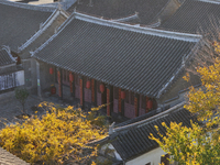 Ding's Former Residence of Residential Architecture Art is a Key Cultural Relics Protection Unit in China, located in Longkou, China, on Nov...