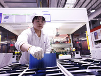 Workers produce export photovoltaic modules in a new energy 5G intelligent workshop in Suqian, China, on December 2, 2024. (