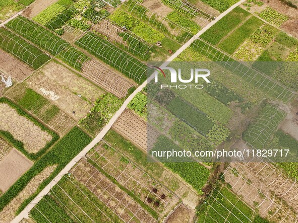 An aerial photo shows a rural vegetable base in Wayao Village, Siyang Town, Cengong County, Miao and Dong Autonomous Prefecture, Southwest C...