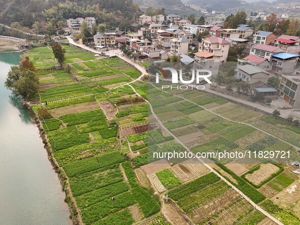 An aerial photo shows a rural vegetable base in Wayao Village, Siyang Town, Cengong County, Miao and Dong Autonomous Prefecture, Southwest C...