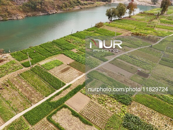 An aerial photo shows a rural vegetable base in Wayao Village, Siyang Town, Cengong County, Miao and Dong Autonomous Prefecture, Southwest C...