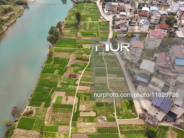 An aerial photo shows a rural vegetable base in Wayao Village, Siyang Town, Cengong County, Miao and Dong Autonomous Prefecture, Southwest C...