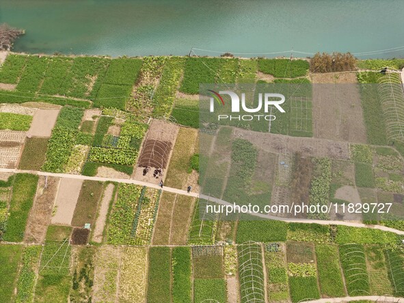 An aerial photo shows a rural vegetable base in Wayao Village, Siyang Town, Cengong County, Miao and Dong Autonomous Prefecture, Southwest C...