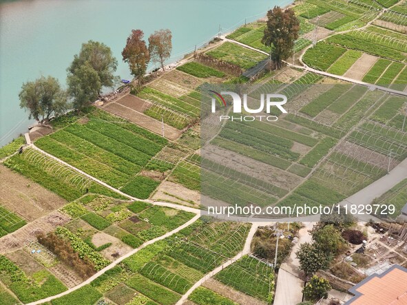 An aerial photo shows a rural vegetable base in Wayao Village, Siyang Town, Cengong County, Miao and Dong Autonomous Prefecture, Southwest C...