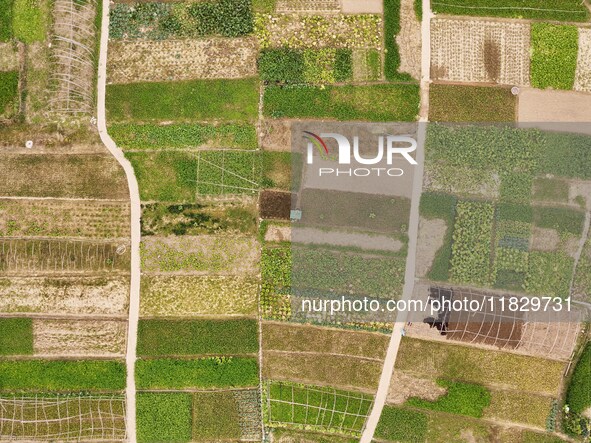 An aerial photo shows a rural vegetable base in Wayao Village, Siyang Town, Cengong County, Miao and Dong Autonomous Prefecture, Southwest C...