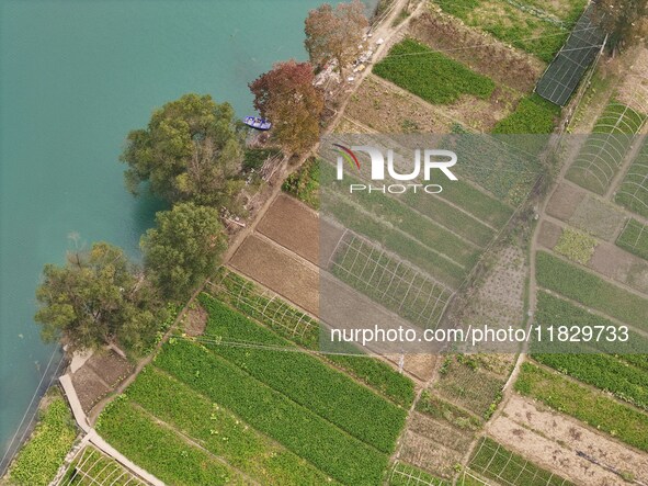 An aerial photo shows a rural vegetable base in Wayao Village, Siyang Town, Cengong County, Miao and Dong Autonomous Prefecture, Southwest C...