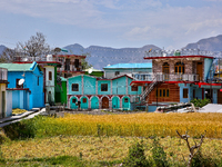 Wheat fields are partially harvested as the wheat harvest begins in Sainji Village in Mussoorie, Uttarakhand, India, on April 18, 2024. (