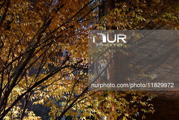 A third alarm fire impacts a building on the Upper East Side of Manhattan, New York, United States, on December 2, 2024. At 526 E 82nd Stree...