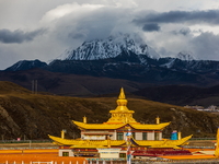 Muya Golden Pagoda is in Ganzi Prefecture, Sichuan province, China, on October 19, 2024. (