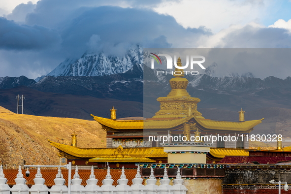 Muya Golden Pagoda is in Ganzi Prefecture, Sichuan province, China, on October 19, 2024. 