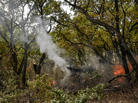 In Donetsk region, Ukraine, on October 25, 2024, the artillerymen of the Khyzhak Patrol Police Special Unit fire a howitzer at the positions...