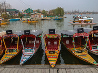 Uber signs are displayed on ''Shikaras'' or small boats after Uber launches its first water transport service on the waters of Dal Lake, in...