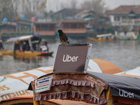 A Common Myna rests on an Uber sign on a ''Shikara'' or small boat after Uber launches its first water transport service on the waters of Da...