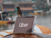 A Common Myna rests on an Uber sign on a ''Shikara'' or small boat after Uber launches its first water transport service on the waters of Da...