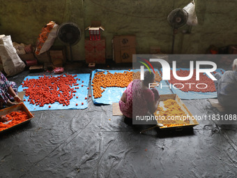 Workers prepare ''Laddu,'' a ball-shaped sweet, inside a workshop for sale in the wholesale market in Jayanagar village on the outskirts of...