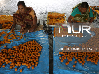 Workers prepare ''Laddu,'' a ball-shaped sweet, inside a workshop for sale in the wholesale market in Jayanagar village on the outskirts of...