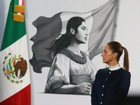 Claudia Sheinbaum, Mexico's president, speaks during the national security report at the briefing conference at the National Palace in Mexic...