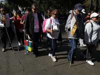 People with disabilities demonstrate on the occasion of the International Day of Persons with Disabilities, marching on Avenida Juarez to th...