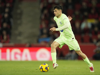 Pedri central midfield of Barcelona and Spain during the La Liga match between RCD Mallorca and FC Barcelona at Estadi de Son Moix on Decemb...