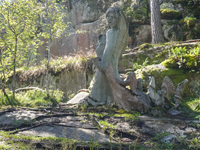 A general view of the Trollparken Garpes Vanner sculpture park is seen in Gamleby, Sweden, on August 11, 2024. The artist Jerzy Przybyl, als...