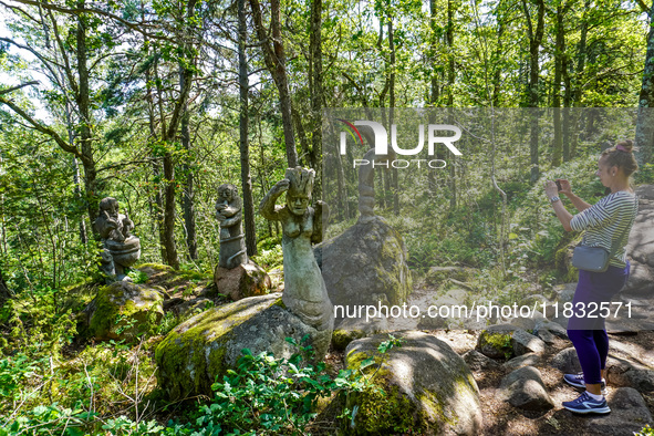 A general view of the Trollparken Garpes Vanner sculpture park is seen in Gamleby, Sweden, on August 11, 2024. The artist Jerzy Przybyl, als...