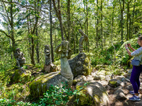 A general view of the Trollparken Garpes Vanner sculpture park is seen in Gamleby, Sweden, on August 11, 2024. The artist Jerzy Przybyl, als...