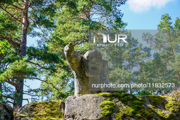 A general view of the Trollparken Garpes Vanner sculpture park is seen in Gamleby, Sweden, on August 11, 2024. The artist Jerzy Przybyl, als...