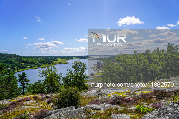 A general view of the Trollparken Garpes Vanner sculpture park is seen in Gamleby, Sweden, on August 11, 2024. The artist Jerzy Przybyl, als...