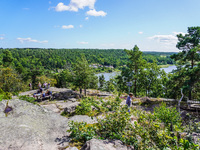 A general view of the Trollparken Garpes Vanner sculpture park is seen in Gamleby, Sweden, on August 11, 2024. The artist Jerzy Przybyl, als...