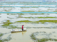 A staff member puts feed into a crab pond at a crab breeding base in Suqian, Jiangsu province, China, on December 4, 2024. (