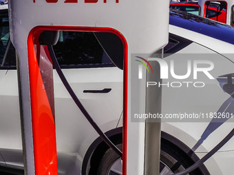 A Tesla SuperCharger charging station is seen in Vaxjo, Sweden, on August 13, 2024. (