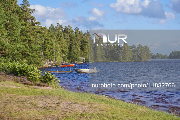 A lake is seen near Markaryd, Sweden, on August 8, 2024. 