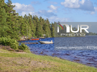 A lake is seen near Markaryd, Sweden, on August 8, 2024. (