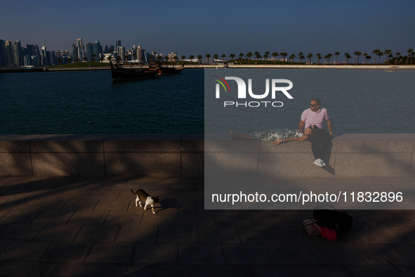 A cat and peopkle are seen with the city in Doha, Qatar on December 3, 2024. 