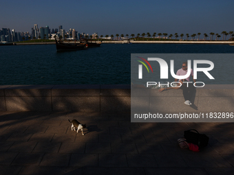 A cat and peopkle are seen with the city in Doha, Qatar on December 3, 2024. (