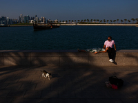 A cat and peopkle are seen with the city in Doha, Qatar on December 3, 2024. (