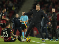 Hansi Flick head coach of Barcelona during the La Liga match between RCD Mallorca and FC Barcelona at Estadi de Son Moix on December 3, 2024...